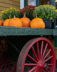 pumpkins sitting on a cart during autumn